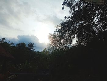 Low angle view of silhouette trees against sky during sunset