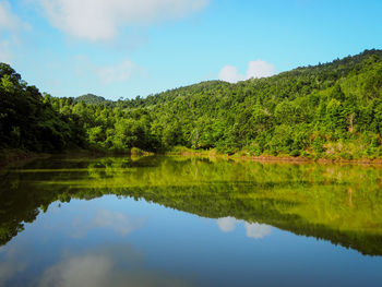 Scenic view of lake by trees against sky