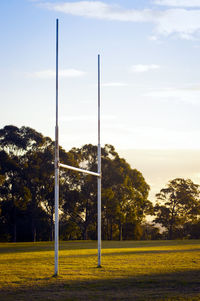 Trees on field against sky