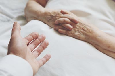 Close-up of the hand of a doctor