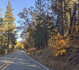 Road amidst trees against sky during autumn