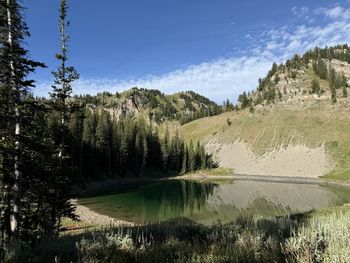 wilderness