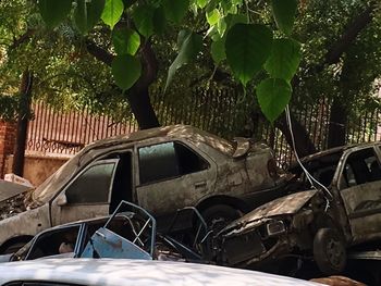 Damaged car on tree