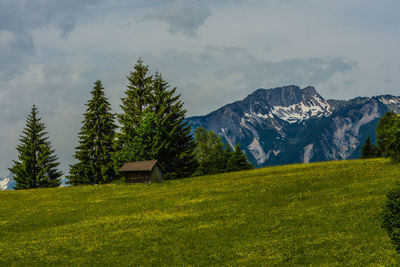 Scenic view of field and mountains against sky