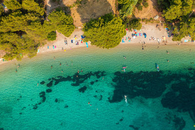 Group of people on the beach