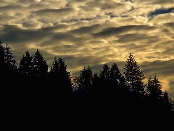 Low angle view of silhouette trees against sky at sunset