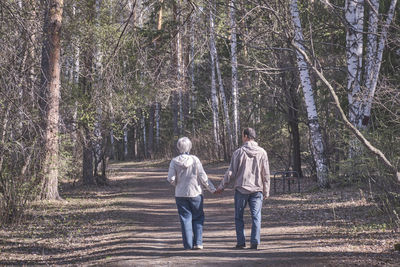 Elderly interracial couple  walking in a spring forest park holding hands. view from the back.