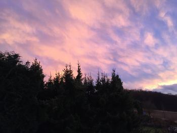 Silhouette trees against sky during sunset