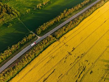 Scenic view of agricultural field