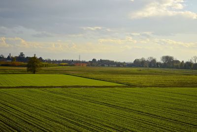 Scenic view of field against cloudy sky