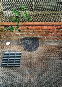 Full frame shot of paving stone