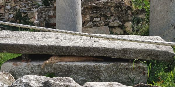 Close-up of stone wall