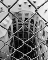 Close-up of chainlink fence