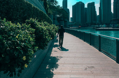 Rear view of man walking on sidewalk by river in city