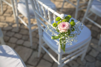 High angle view of small potted plant on fence