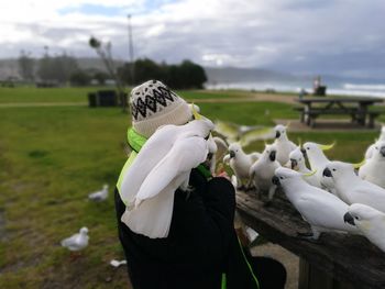 Side view of woman feeding birds at park