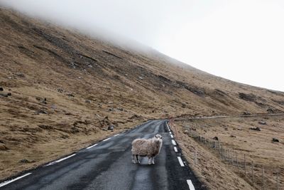 Road on landscape against sky