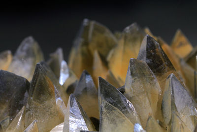 Close-up of dry leaves