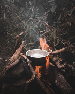 Bonfire on wooden log