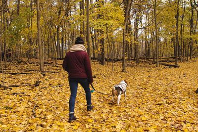 Rear view of woman with dog on street during autumn