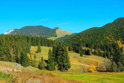 Scenic view of field against blue sky