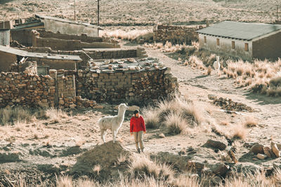 High angle view of people walking on field