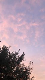 Low angle view of silhouette tree against sky during sunset