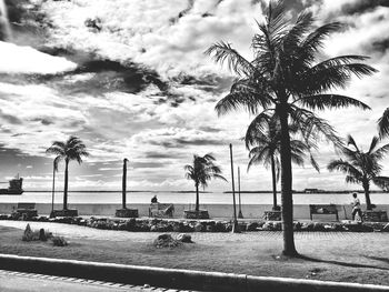 Palm trees on beach against cloudy sky