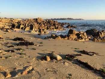 Scenic view of beach against clear sky