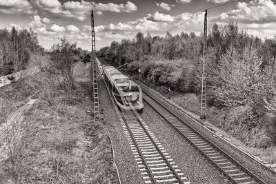 Railroad tracks amidst trees against sky