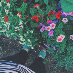 Low section of woman standing on ground