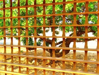 Full frame shot of wooden fence