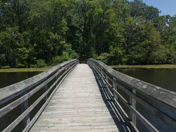 Footbridge along trees