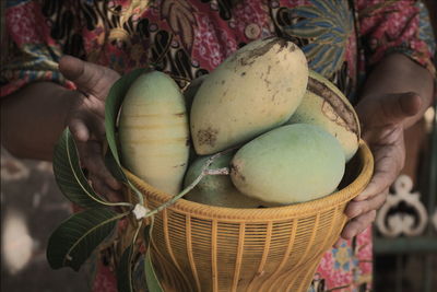 Close-up of hand holding mangoes