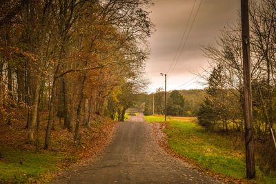 Empty road by autumn trees against cloudy sky