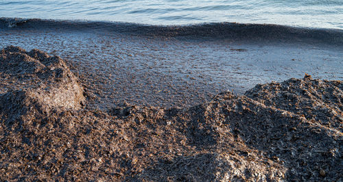 High angle view of rocks on beach