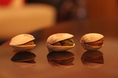 Close-up of food on table