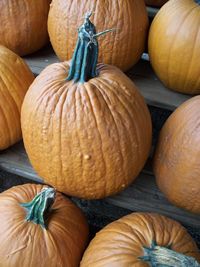 Full frame shot of pumpkins