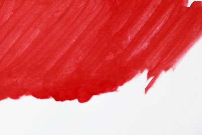 Close-up of red leaf against white background