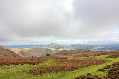 Scenic view of field and mountains against sky