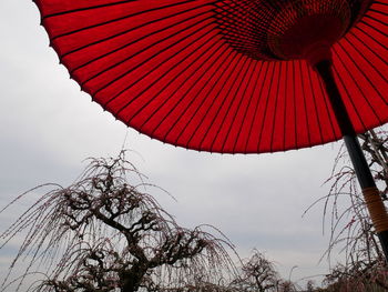 Low angle view of lantern against sky
