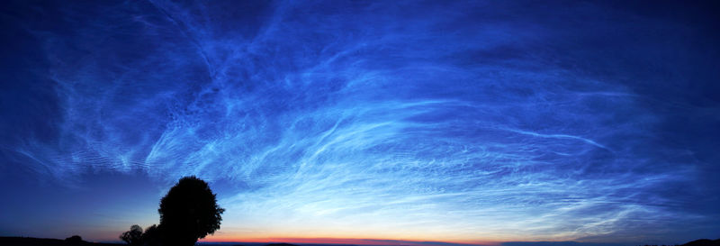 Low angle view of silhouette trees against sky at night