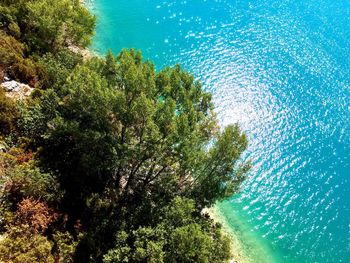 Scenic view of sea against trees