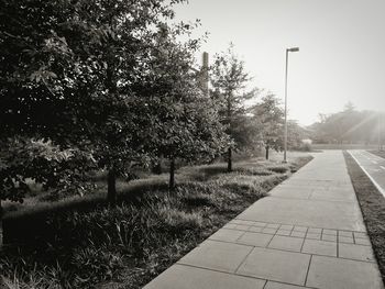 Empty road along trees