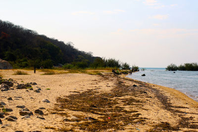 Scenic view of beach against sky