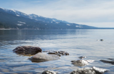 Scenic lake in montana, usa