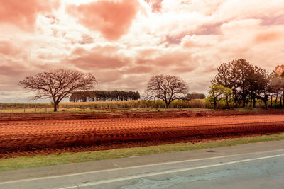 Bare trees on landscape against sky