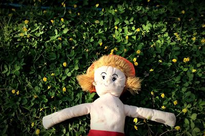 Stuffed toy on plants in park