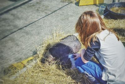 Rear view of woman touching pig