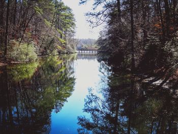 Reflection of trees in river against sky